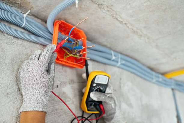 Best Electric Panel Repair  in Hudson, TX